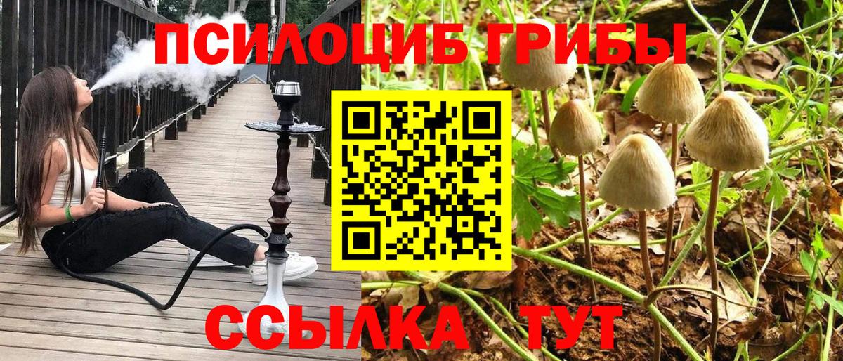 Галлюциногенные грибы Psilocybe  Галлюциногенные грибы ЛСД  Люберцы  Вход с VPN 